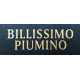 Женская одежда от Bilissimo Piumino